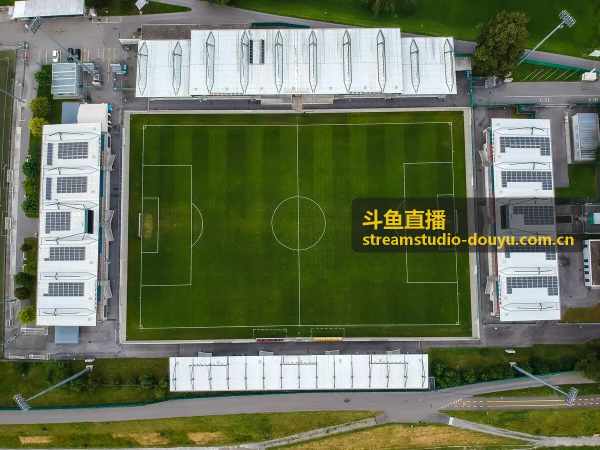斗鱼直播王者荣耀巅峰赛主播对局教学
